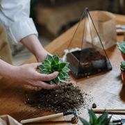 Wind River Lawn and Garden LLC