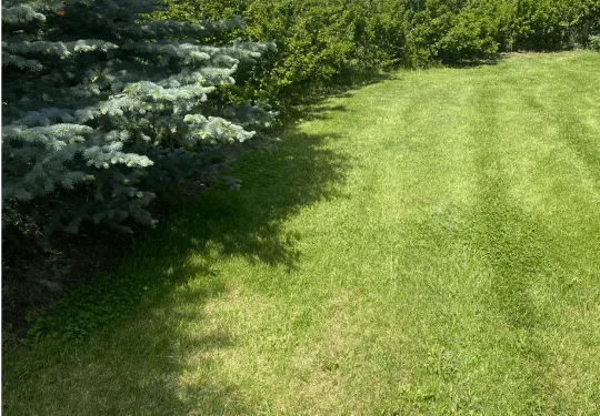 Wind River Lawn and Garden LLC