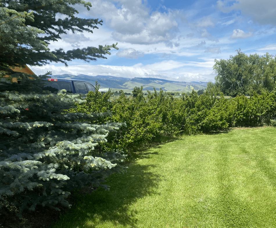 Wind River Lawn and Garden LLC